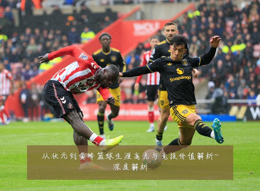 从状元到黄蜂篮球生涯高光与竞技价值解析-深度解析