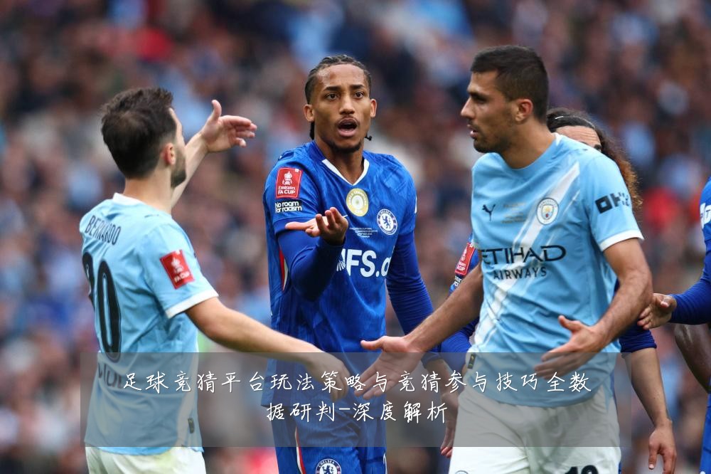 足球竞猜平台玩法策略与竞猜参与技巧全数据研判-深度解析